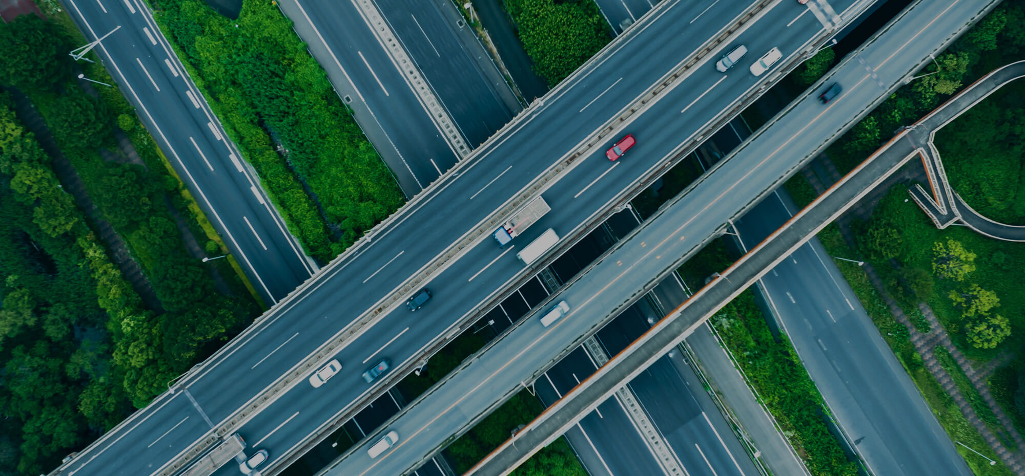 言葉にできる心を、行動にする仕事